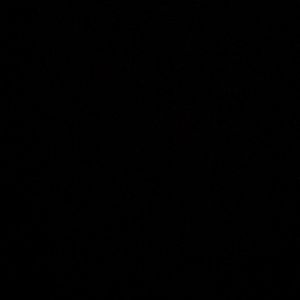 Meet your Posher, Gwen